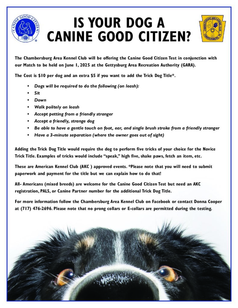 CGC Test Flyer