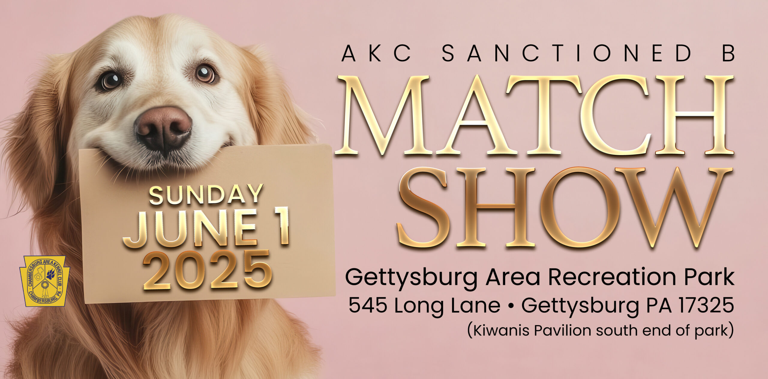 Match Show Web Graphic_June 2025 Banner
